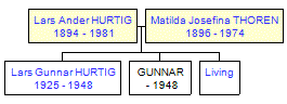 Mini tree diagram