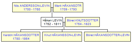 Mini tree diagram