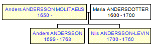 Mini tree diagram